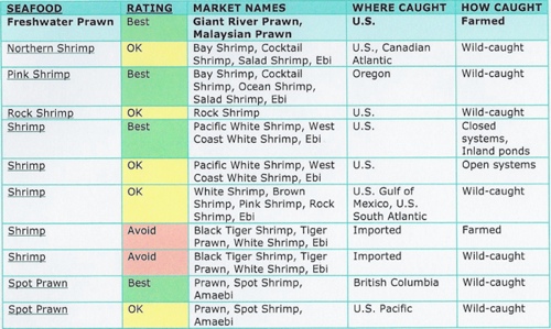 Black Tiger Shrimp Size Chart