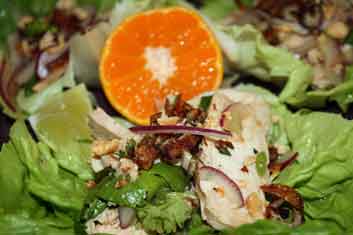 Thai chicken salad recipe that is mild and full of flavors